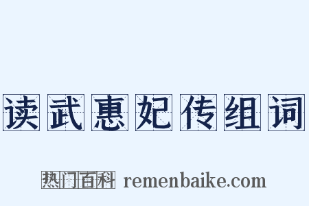 读武惠妃传组词是什么意思的图片